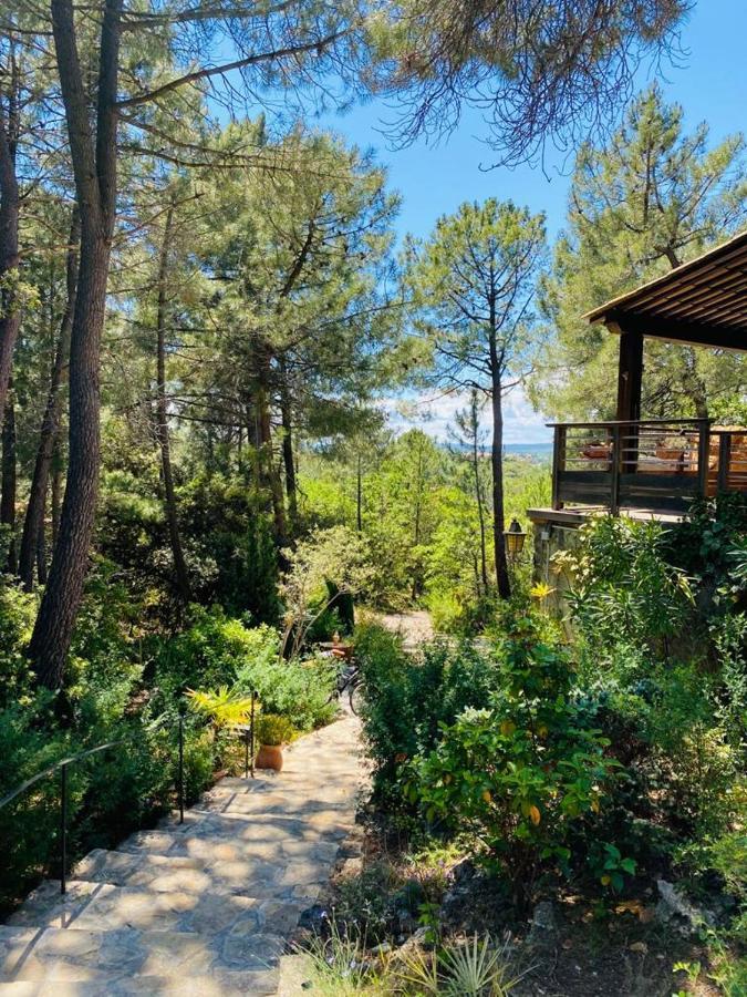 Lou Paradou Lodge Grillon Екстер'єр фото