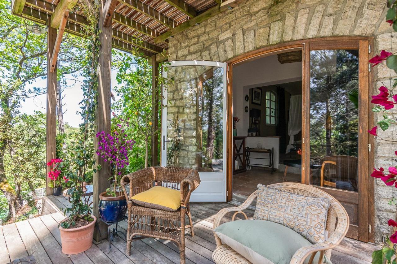 Lou Paradou Lodge Grillon Екстер'єр фото