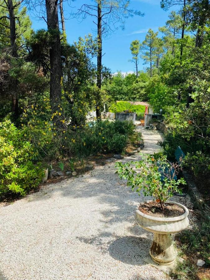 Lou Paradou Lodge Grillon Екстер'єр фото